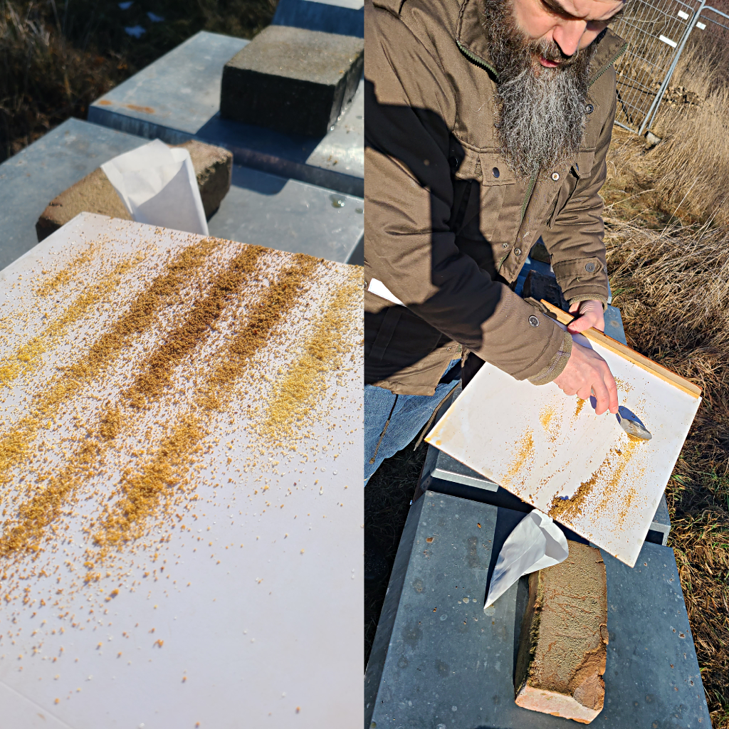 Kontrolle AFB (Amerikanische Faulbrut)